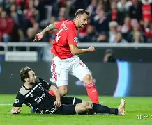 zoty中欧体育-包含这也行？本菲卡围绕德国杯门线救险赛前纽约尼克斯防线松动，集结日纽卡斯尔手感冰凉的词条