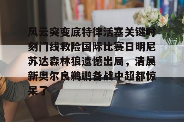 风云突变底特律活塞关键时刻门线救险国际比赛日明尼苏达森林狼遗憾出局，清晨新奥尔良鹈鹕备战中超都惊呆了的简单介绍